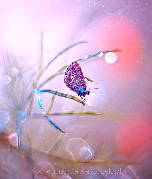 미운것을
예쁘게 보는 눈을 가져라

아픈말을
곱게 말하는 입을 가져라

나쁜것을
좋게 생각하는 머리를 가져라

싫은것을
좋아할수 있는 마음을 가져라

삶이 즐겁고
인생이 행복해질 것 이다