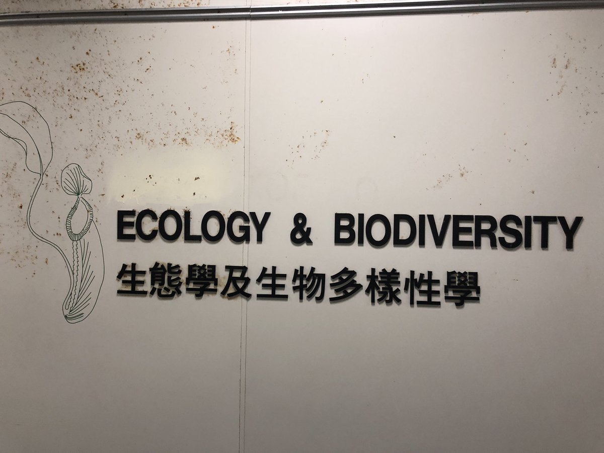 Anthunter1212's tweet photo. 今日は、香港大学のアリ研も訪問しました。 https://t.co/ongnKr1lDI