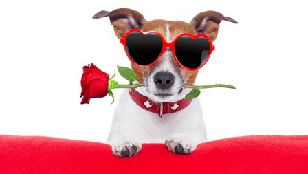 GivingTreeSpa's tweet image. Give the Cupid's Valentine Special as a gift! Click on the link or come in and see us. thegivingtreespa.com/product/test-s…