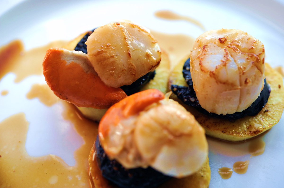 Scallop Gourmet 14th March