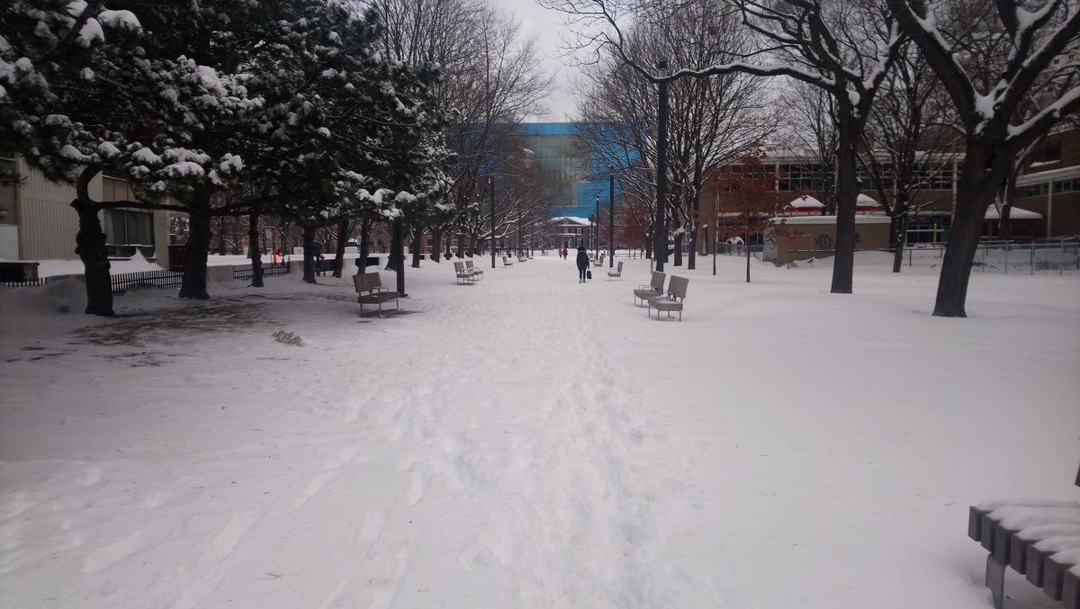 Shandy__uk's tweet photo. Fun walk to work today. https://t.co/nn1EJP4mRI