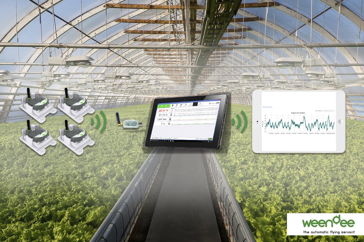 weendeetech's tweet photo. #Decosystema es el sistema perfecto para la medición de variables ambientales y conrol de gases, en espacios cerrados como #invernaderos 🙋‍♂️💻 

Más info: https://t.co/9JnBKkoFh3 

#sensorambiental #weendeetechnology #technology #felizmartes #tecnología https://t.co/wXmJ7dxQs0