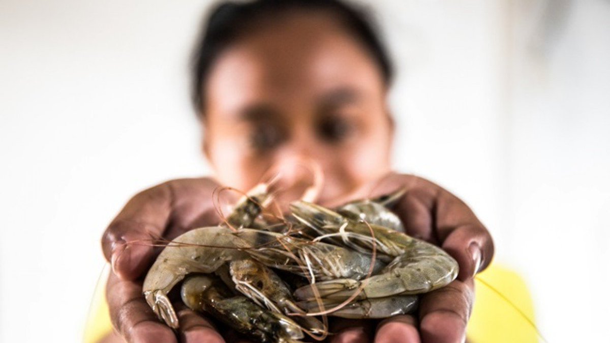 Human suffering should not be an ingredient in the food we eat. That is why Equal Exchange has decided to partner with Oxfam on their campaign called Behind the Barcodes. Read this article from Becky Davis at Oxfam to learn more and get involved! bit.ly/2SaKUek