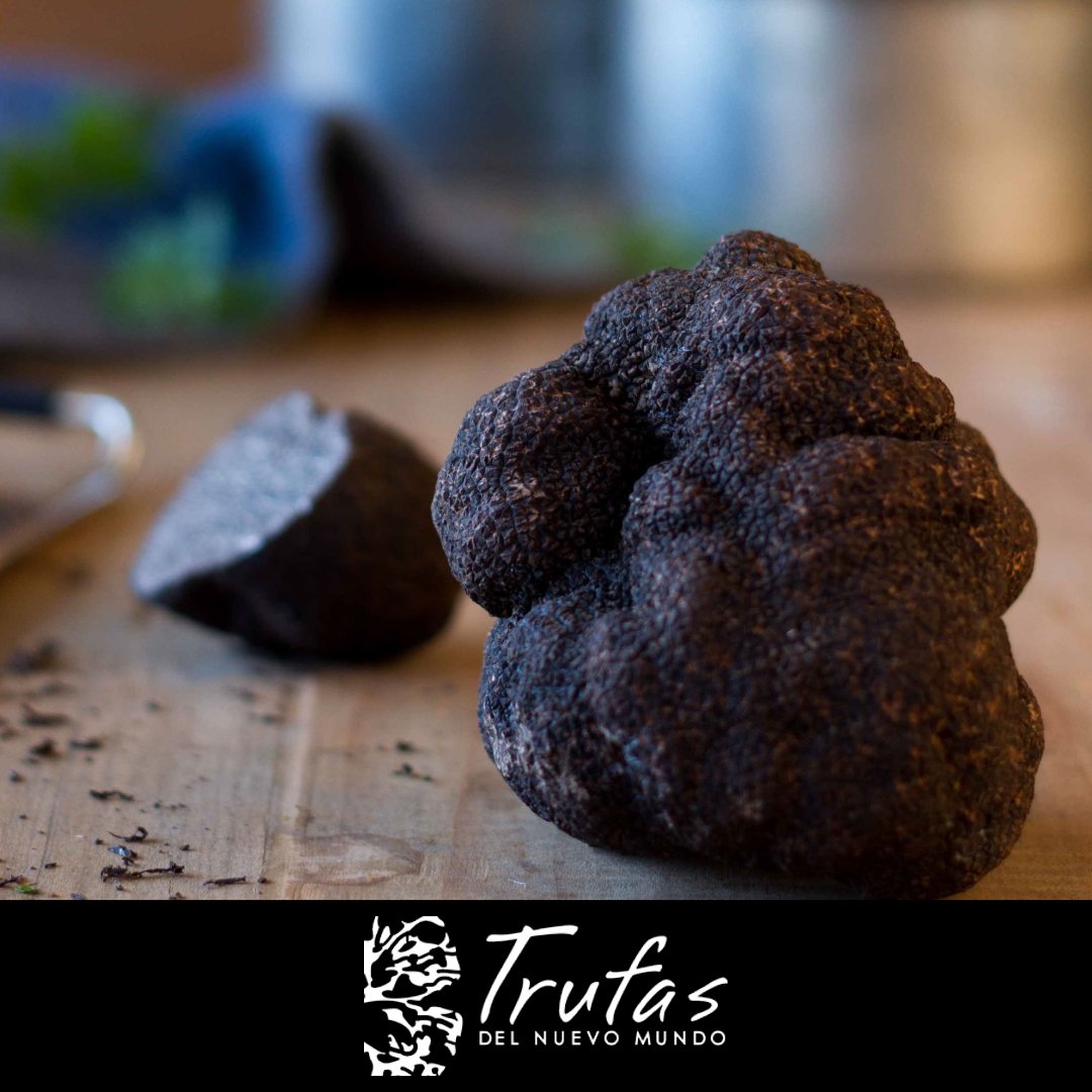 ¿Sabías que las trufas tienen distintos pesos? Recolectamos trufas desde 5 a más de 400 gramos. Existen sorpresas extraordinarias como las trufas de más de 1kg, que nosotros aún esperamos.💎❤️🐶🌳

#truffe #trufanegra #blacktruffle #TrufaArgentina #instafood #tartufo
#chefslife