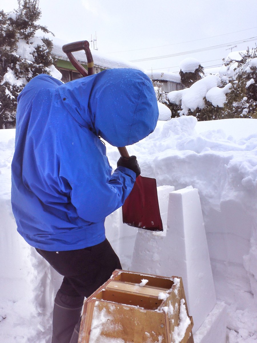 だいすき大野 福井県大野市非公認 2 2 土 3 日 開催 越前おおの冬物語 雪見灯ろうの灯りが 城下町を幻想的な雰囲気に 大野の冬の一大イベントです でっち羊かんまつり も同時開催 イベント詳細は T Co L2zqvejpj3