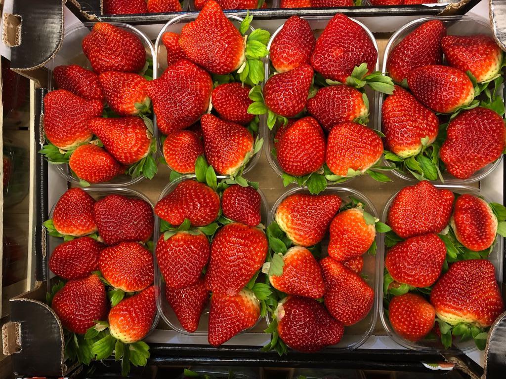 ContadinOnline's tweet photo. Offerta della settimana 😜 - https://t.co/tBreTYUFly https://t.co/wCUOoDZf2T