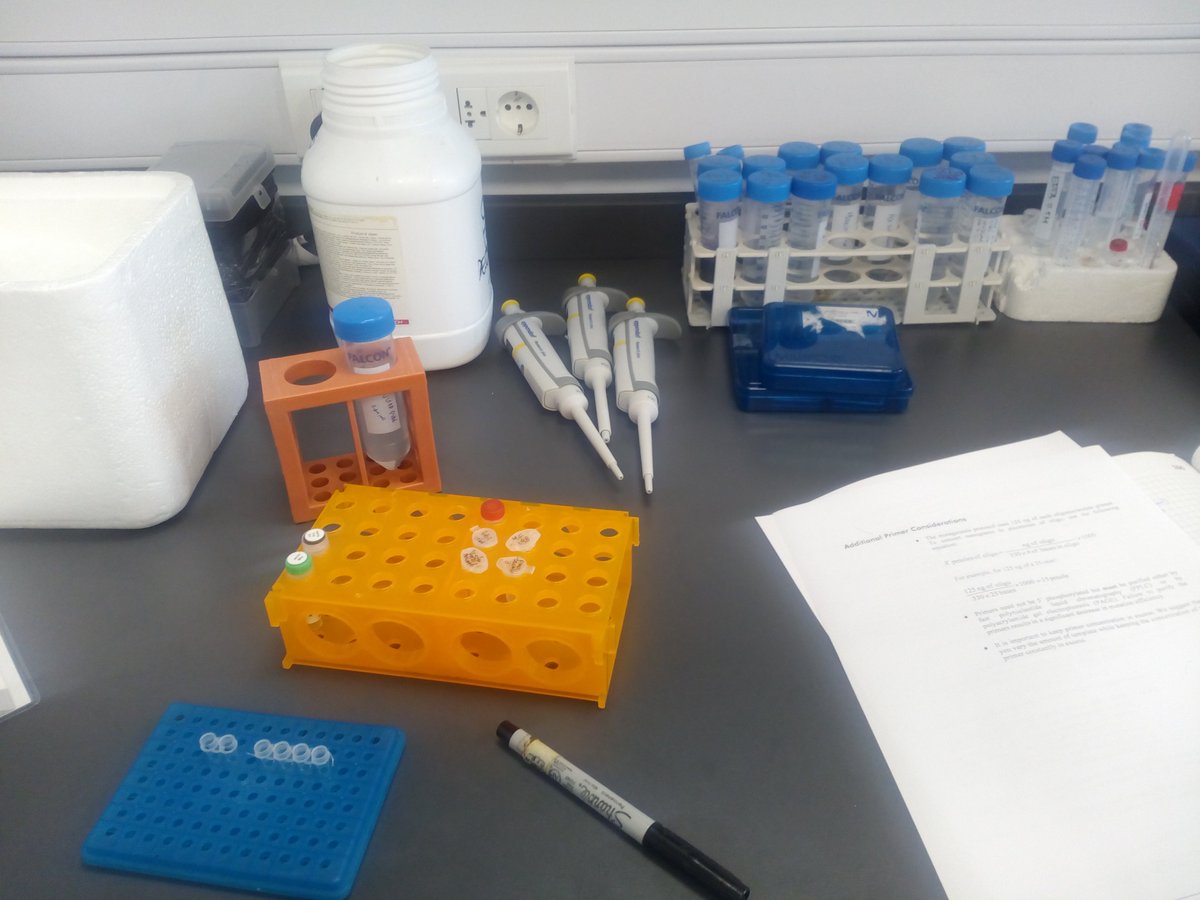 MariaEFrancia's tweet image. Our first PCR reaction set up in house! Still setting up, but we are open for business! #apilab @IPMontevideo @RamiroTomasina