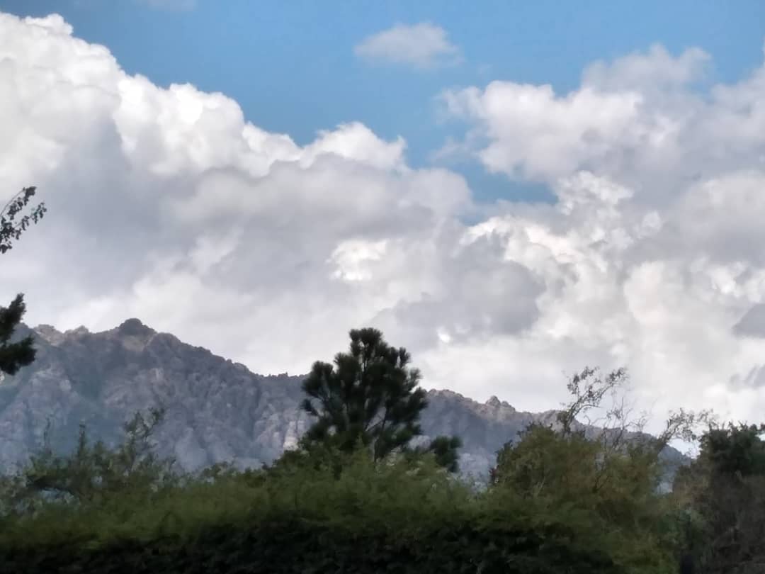 CortaderasSL's tweet photo. #calor ⛱️#sol ☀️#nubes 🌤️#bellasvistas #cortaderasenamora 🌅Te esperamos!!! 🌤️🌤️⛱️ https://t.co/xGWREoHZhd