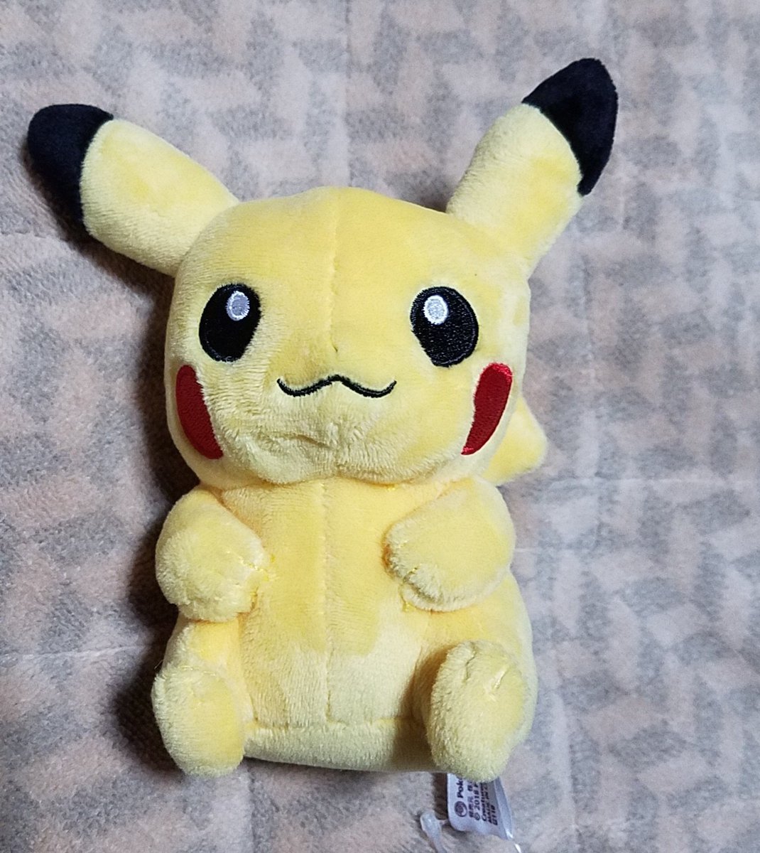 息子さんが頂いたピカチュウのぬいぐるみ、可愛いんやけどなんか変なん