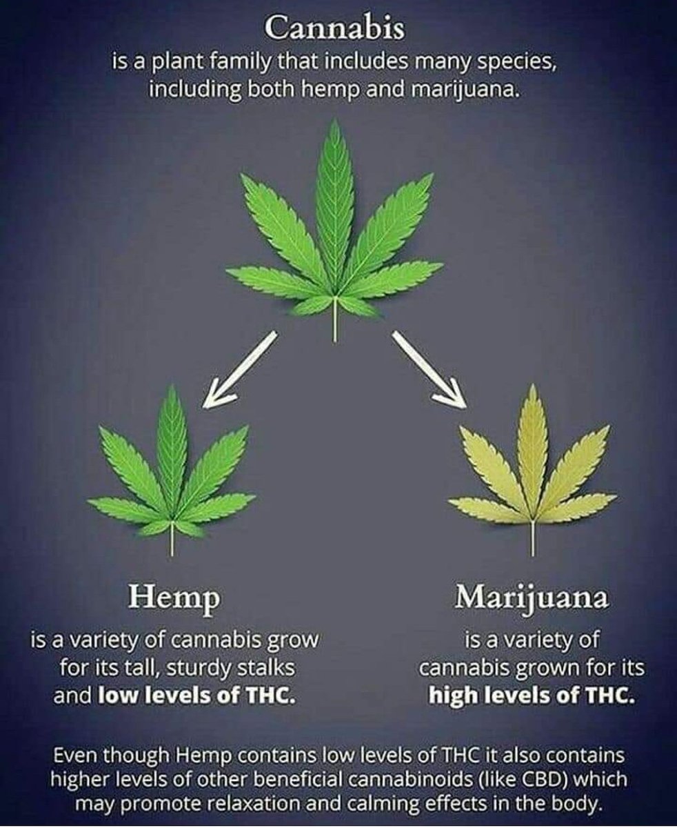 CbdComfort's tweet photo. Educate. Regulate. Medicate. ๐ฑ
#CBD #cbdfamily #cbduk #cbdoiluk #cbdscotland #cbdointment #lovecbd #cbdoil #fullspectrum #cbdlife #hemp #MedicalCannabis https://t.co/o51tvZGBsS