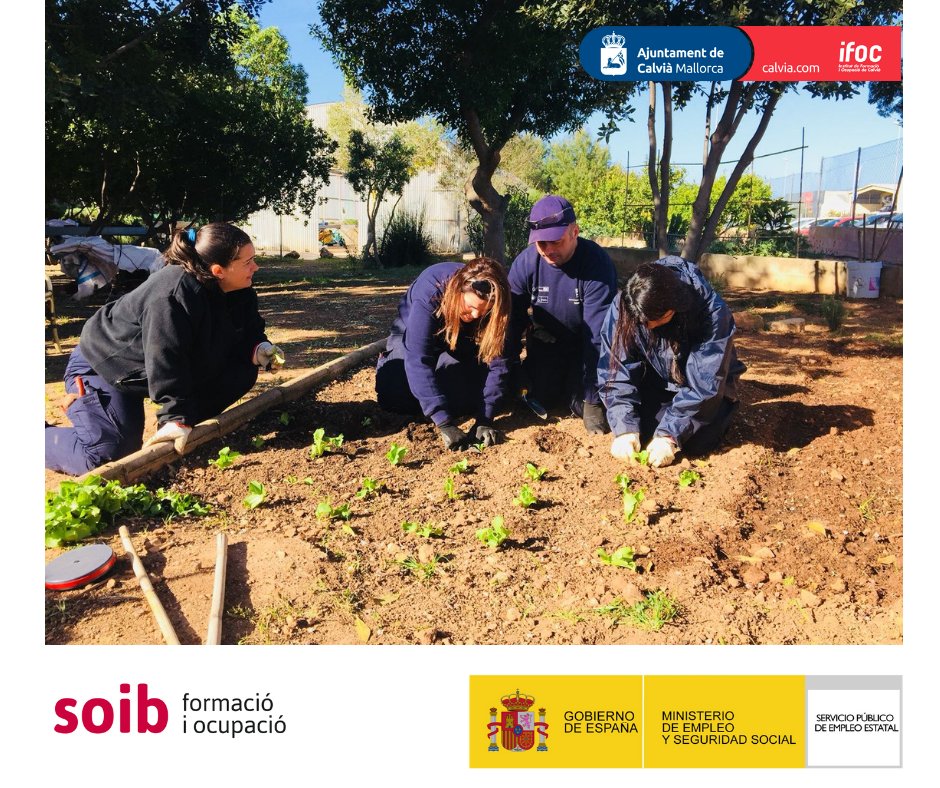 ifocalvia's tweet photo. Majors de 30 anys:
Programa SOIB 30 Formació i Ocupació TRAMUNTANAL, finançat amb fons de la LXIV Conferència Sectorial d’Ocupació i Assumptes Laborals
Català https://t.co/0tbiktjDy4
Castellà https://t.co/MvWFbX0PNM https://t.co/FmzLn2UYgb
