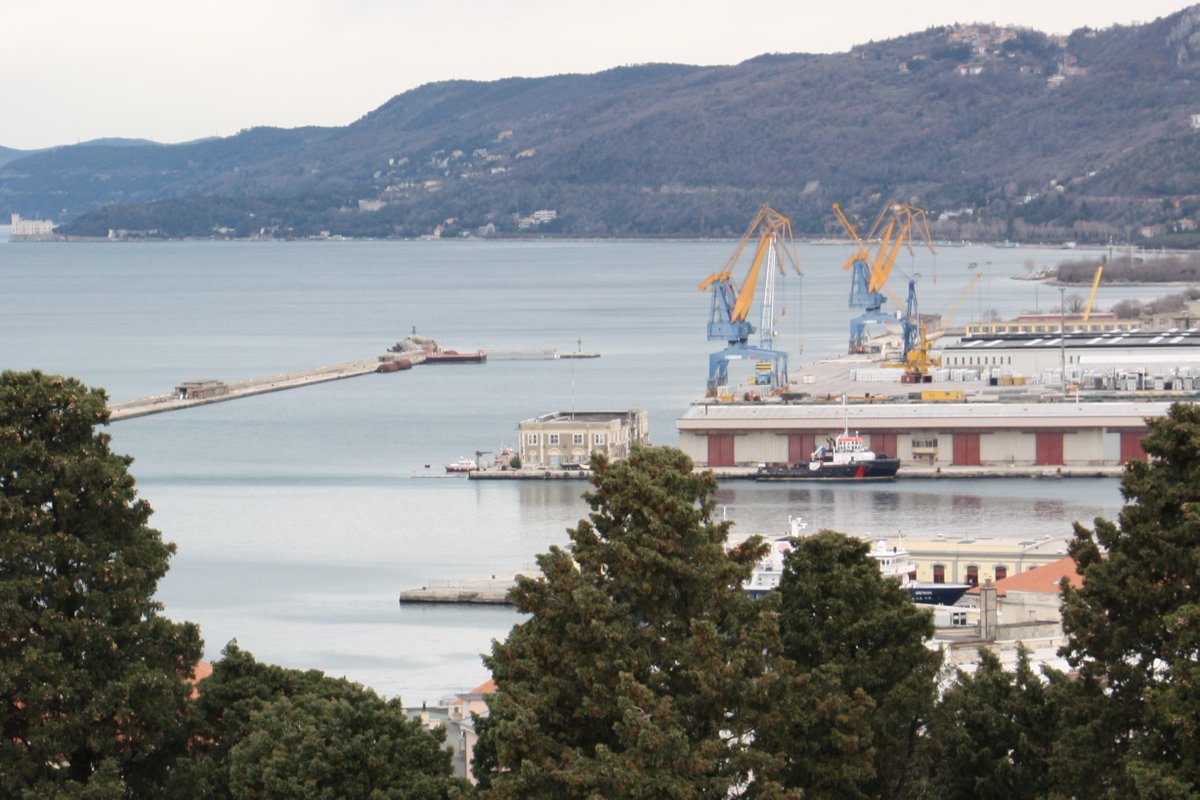 wko_ac_pda's tweet photo. #WIRTSCHAFTSMISSION: Best of #Adriaports #Triest,
#Koper, #Rijeka 18. - 20. März 2019. Lerne 3 der wichtigsten Häfen der
österreichischen Außenwirtschaft in 3 Tagen kennen &amp; knüpfe wertvolle
Geschäftskontakte: https://t.co/Sn54JMGm6e @wko_aw https://t.co/KTRmzdZeen