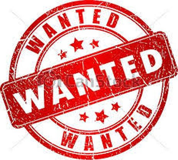 aagreenlight's tweet image. ⛔⛔ VOLUNTEERS WANTED ⛔⛔

RELIABLE VOLUNTEERS REQUIRED FOR GREENLIGHT SOCIAL CLUB:

✔️ ONE/TWO EVENINGS A WEEK
✔️ 2-4 HOURS A WEEK
✔️ TO ASSIST WITH ACTIVITIES AND OUTINGS
✔️ FLEXIBLE

CONTACT: 07935218623