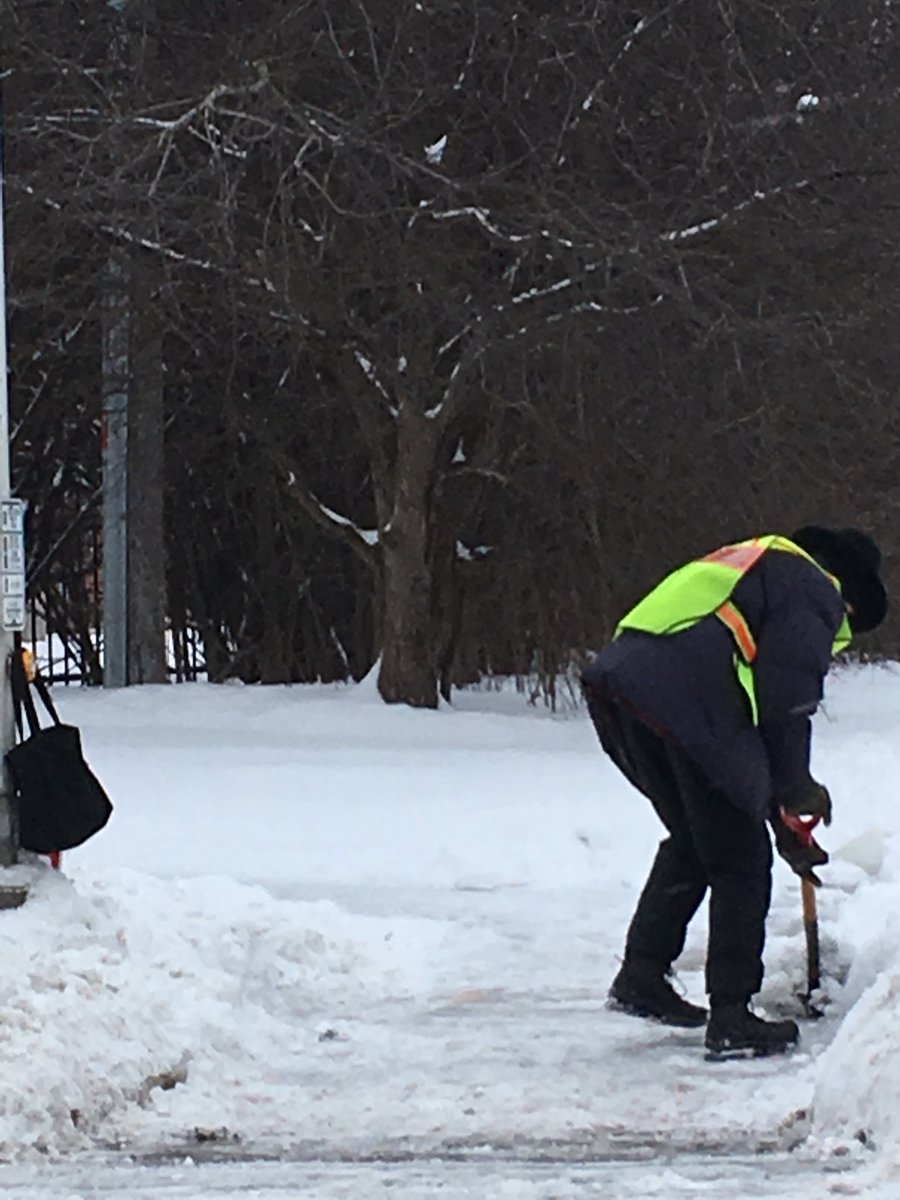 Terra Webster, Ph.D. tweet media