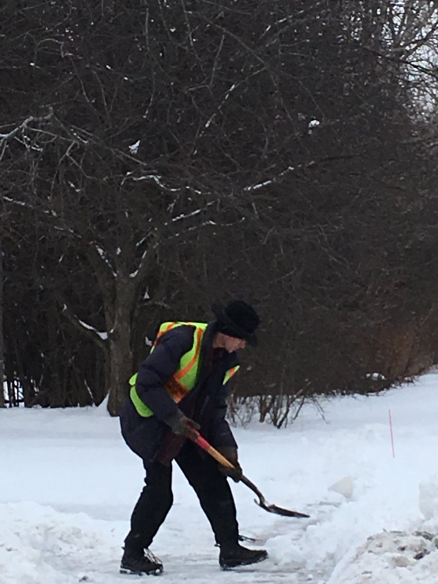 Terra Webster, Ph.D. tweet media