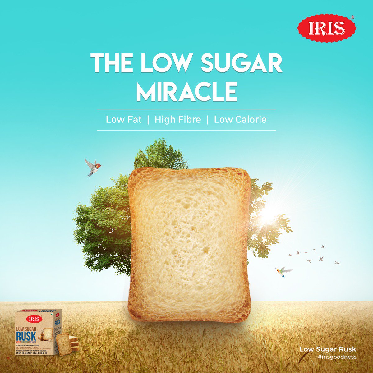 Sky Blue Bakery Nutritional Information Runners High Nutrition