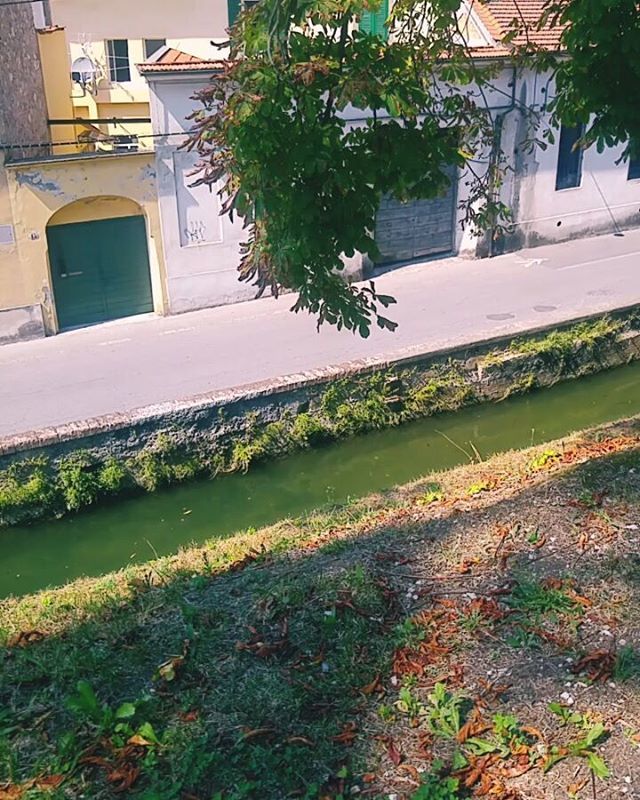 Step after step
_______________________________________

#step #walk #video #editvideo #videoedit #effects #green #lucca #italy #tuscany #travel #discoveritaly #italianplaces #luccawalls #muradilucca #view #city #nature #landscape bit.ly/2RZN0hX