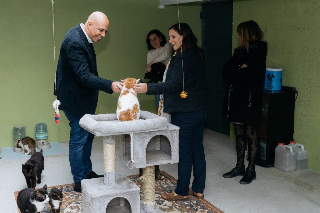 Câmara do Funchal investiu 1,2 milhões de euros desde 2013 em defesa da causa animal funchalnoticias.net/2019/01/29/cam…