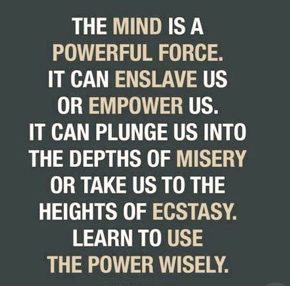 Thank you for helping me reach 100 followers! I literally couldn’t have done it without you.