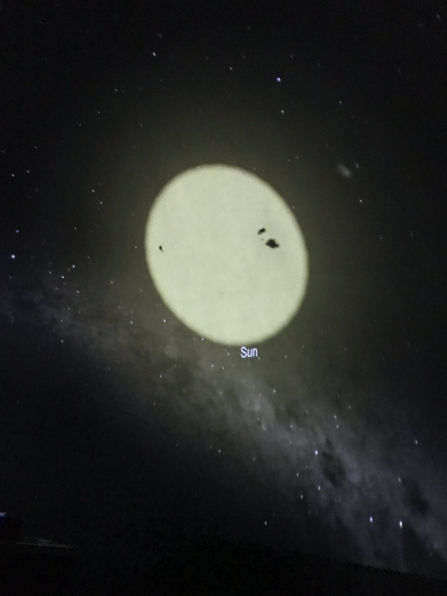 Kelly Filipic tweet media