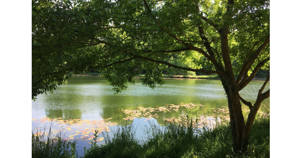 Hellowaysfr's tweet photo. Merci @DestiNature pour cette sélection de rando 100% Helloways. 😘
#rando #paris #dn2019
► https://t.co/xIXNd4uAlm https://t.co/fr1UsWbDFF