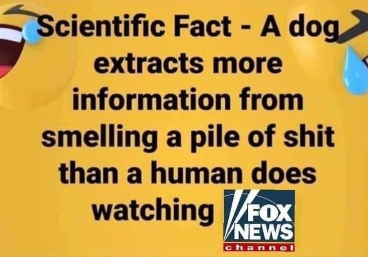 Stop_Trump20 tweet picture