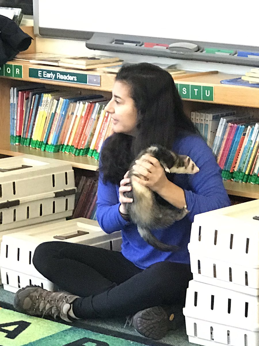 LibraryReads's tweet photo. Animal adaptations with Grade 2 and the Greenberg’s Nature Center #greenacreslibrary #greenacrespride #greenacreslibrary #libraryga #righttoimagine https://t.co/7uoa7sBIBZ