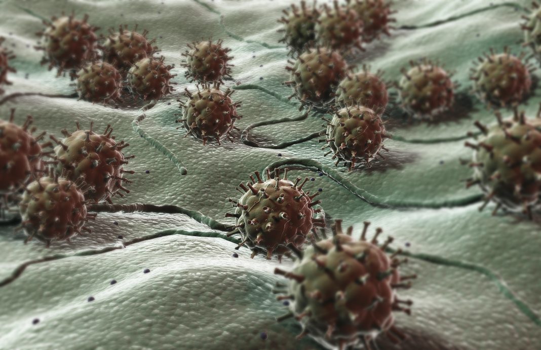 . <a href="/aldevron/">Aldevron</a> Announces Ready-To-Use Lentivirus Plasmids: ow.ly/RAIG30nuT75