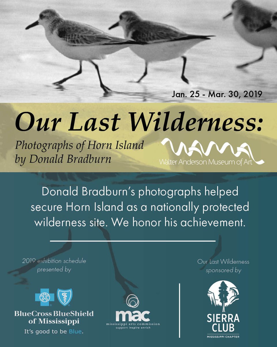 The nature photography that helped start a movement. #NowOnView - "Our Last Wilderness: Photographs of Horn Island by Donald Bradburn." Sponsored by <a href="/SierraClub/">Sierra Club</a> - #Mississippi Chapter. #gulfcoast #photography #art >> bit.ly/Bradburn