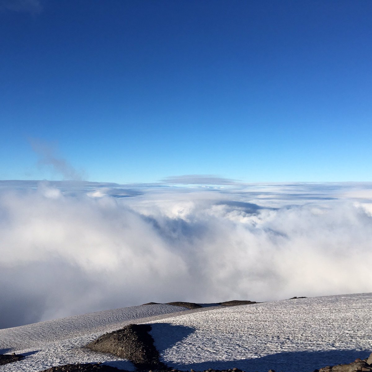 Right above the clouds on #mountrainier • • #hiking #hikingadventures #hikingboots #hikingwashington #hikingwa #epic #climbing #glacier #mountaineering #mountrainier #mountrainiernationalpark #mountrainiernps #rainier #youtube #gopro #clearsky #pnw #pnwadventure😍 #views