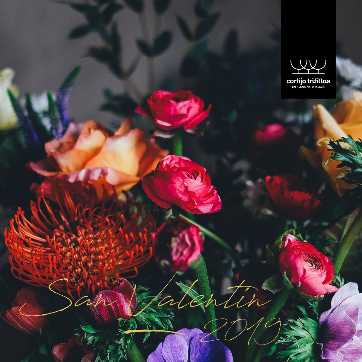 Últimos días para poder reservar tu #escapada #romántica para este #SanValentín. Si quieres desconectar y estar en contacto con la #naturaleza ¡somos tu mejor opción! bit.ly/2Ahw4GX #CortijoTrifillas #Albacete