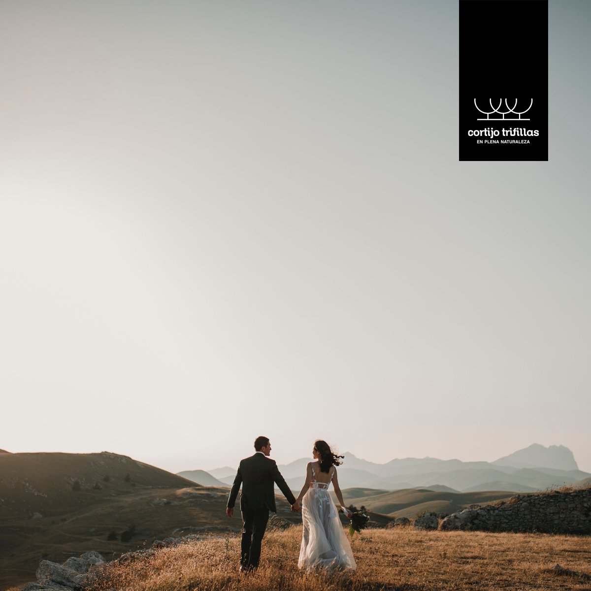 ¡Nuevo año, nuevas #bodas! Si te casas este año en #CortijoTrifillas estaréis rodeados de #naturaleza y del encanto de nuestros ambientes. Disfrutaréis, además, de una noche en nuestra Suite ¡Pide información sin compromiso!
bit.ly/2mrfYW9 #Albacete #boda