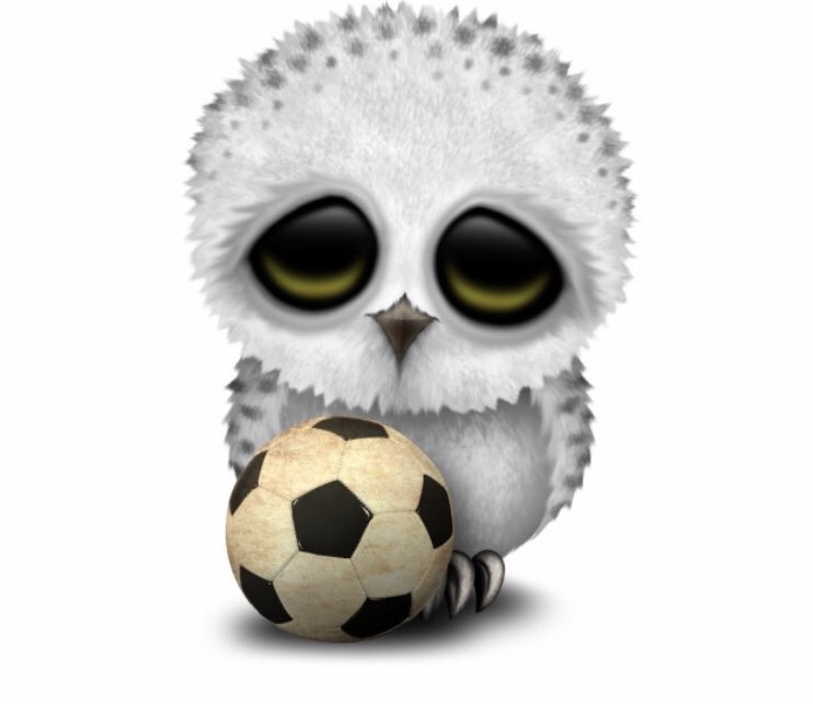 PldSports's tweet photo. All soccer programs and league games at the TBK Bank Sports Complex cancelled Tuesday 29 &amp; Wednesday 30 due to extreme weather conditions. Too cold for humans... https://t.co/oK4BGeb9z0