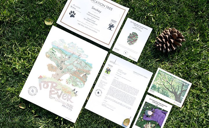 Limited-edition print by nature artist Jill Bliss highlights Marin oak savannah. It comes with Parks' 2019 Dedication Tree keepsake package. Celebrate someone you love. Learn more: ow.ly/h2vk30nssl5  #JillBliss <a href="/jill_bliss/">jill bliss</a>