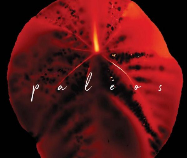 AudioMiddle's tweet image. p a l e o s  by Hoag Holmgren is a collection of poems based on the lesser known, abstract neolithic glyphs found alongside the cave paintings we are more familiar with . . . now available in paperback via Middle Creek Publishing &amp;amp; Audio and Amazon