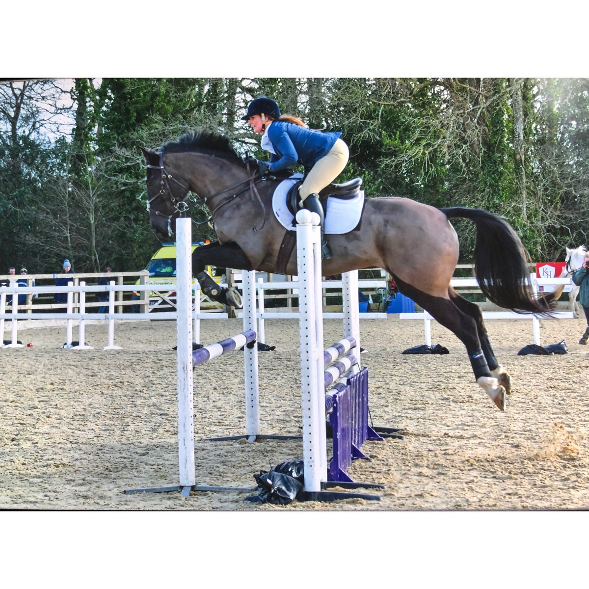 5th place in a big class on Sunday . Did a lovely double clear 😁😍 #Equine #Equestrian #Showjumping