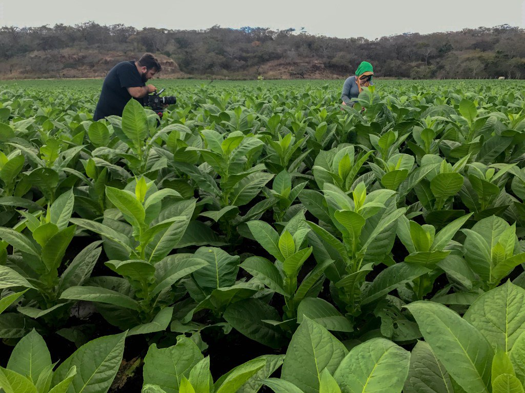 Hand Rolled tobacconistmagazine.com/hand-rolled/