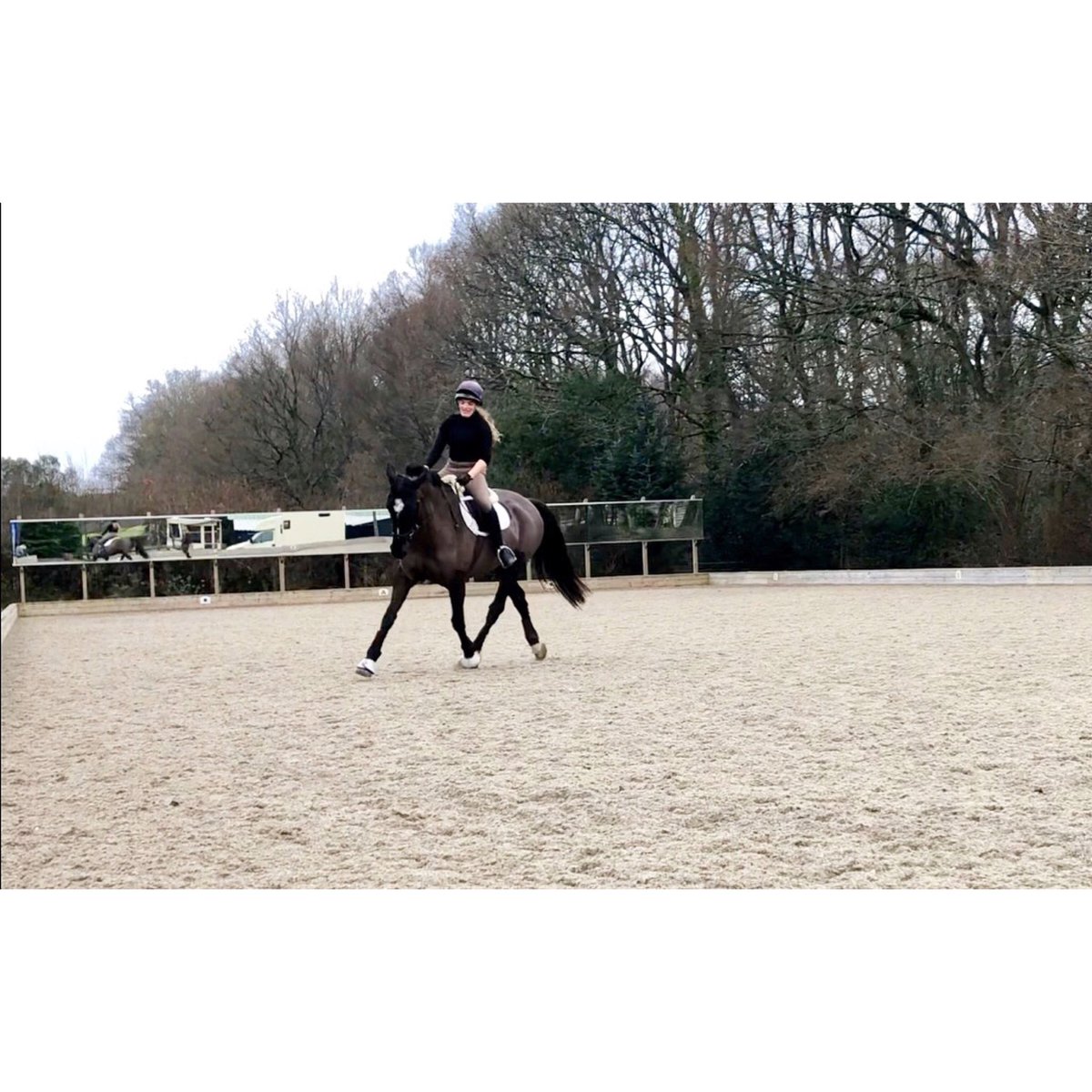 APEquine's tweet photo. Dressage lesson two weeks ago #Equine #Equestrian #Dressage #Training https://t.co/rqav6DaFxw