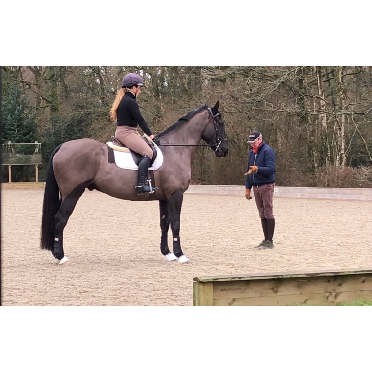 Dressage lesson two weeks ago #Equine #Equestrian #Dressage #Training