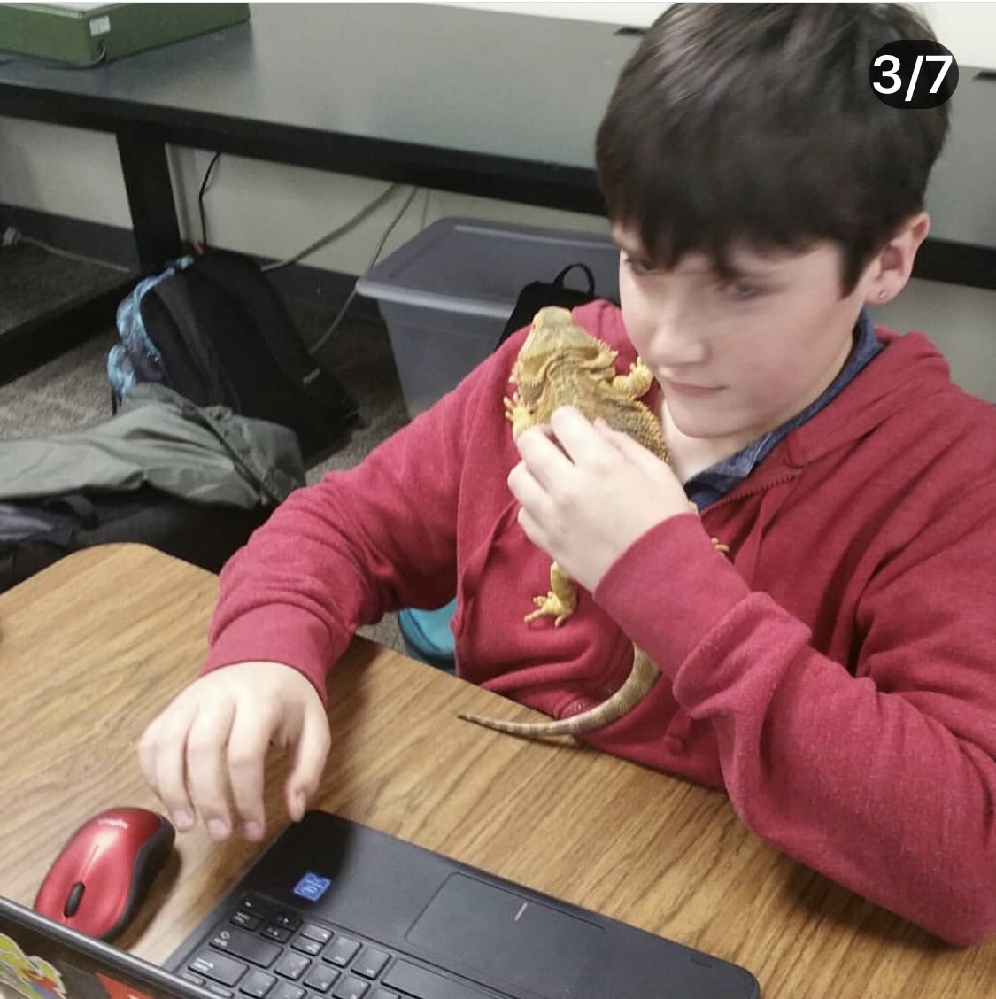 CPMS_OCPS's tweet photo. From Ms. Schnettler’s Project Lead The Way Class! #bulldogsleadtheway #collegeparkmiddleschoolocps #ocpsnews #advancedocps #ocpsnorthlearningcommunity #ocpsinnovation #ocps #IBMagnet https://t.co/V6aZbKeKQy