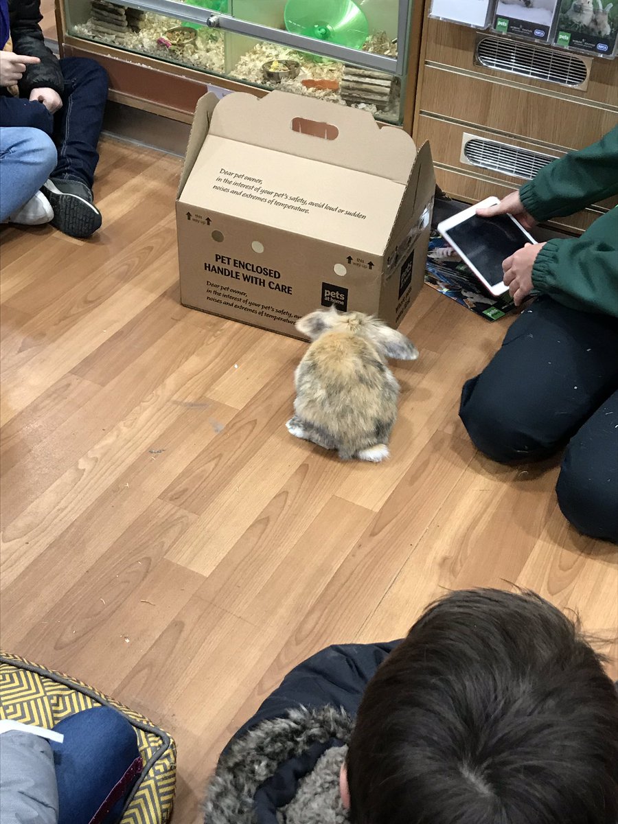 3rd Fife Scout Group tweet media