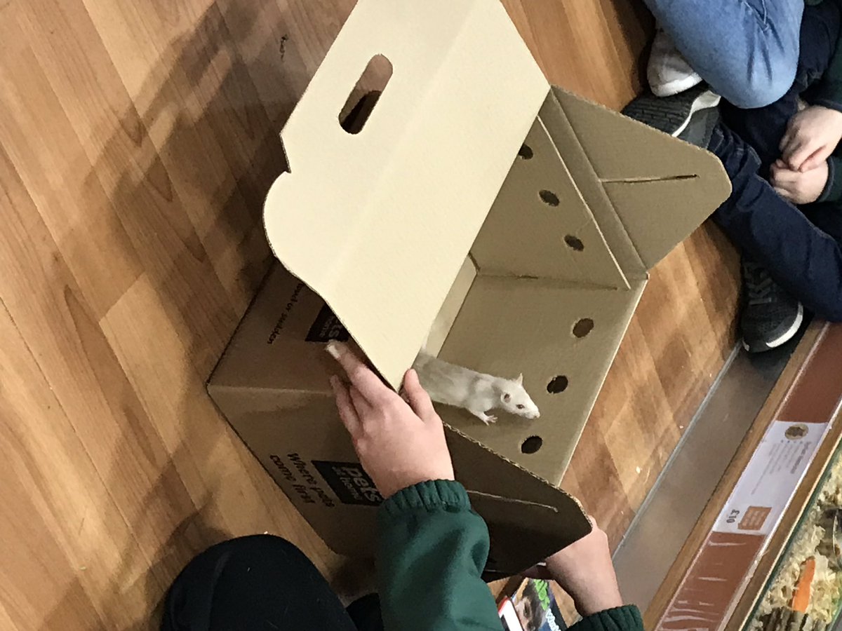 3rd Fife Scout Group tweet media