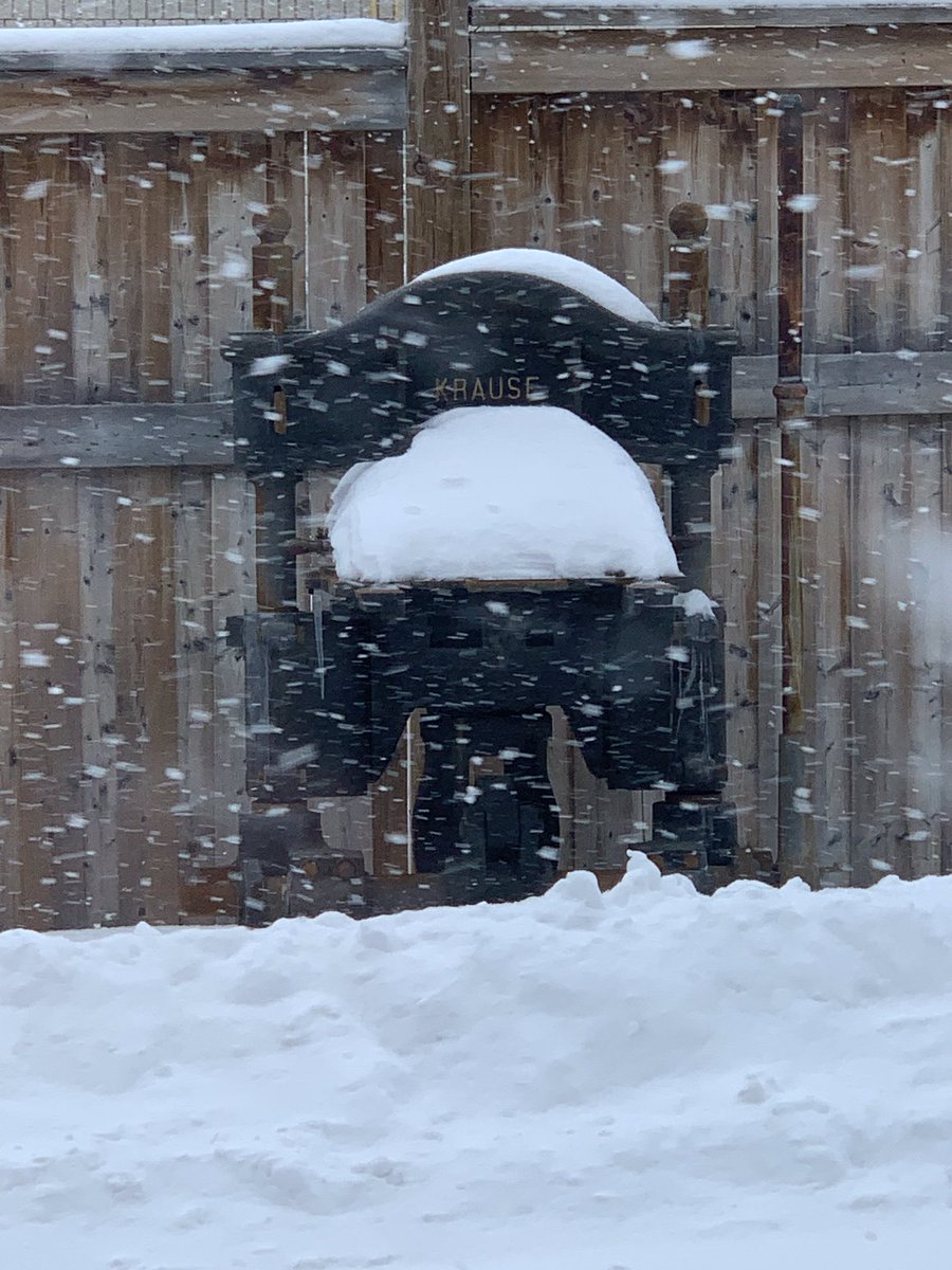 HowardIronWorks's tweet image. Brrrr! #frozen #frozenart #canadianwinter #canadaeh @HowardIronWorks