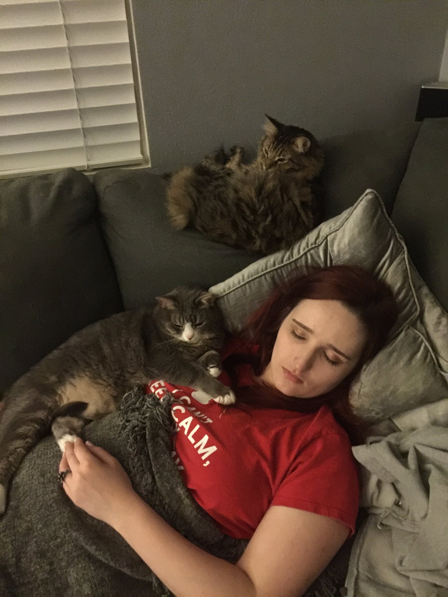 💕 TENLEID 💕 on Twitter "Alexandriathred I wish but kuro insists on