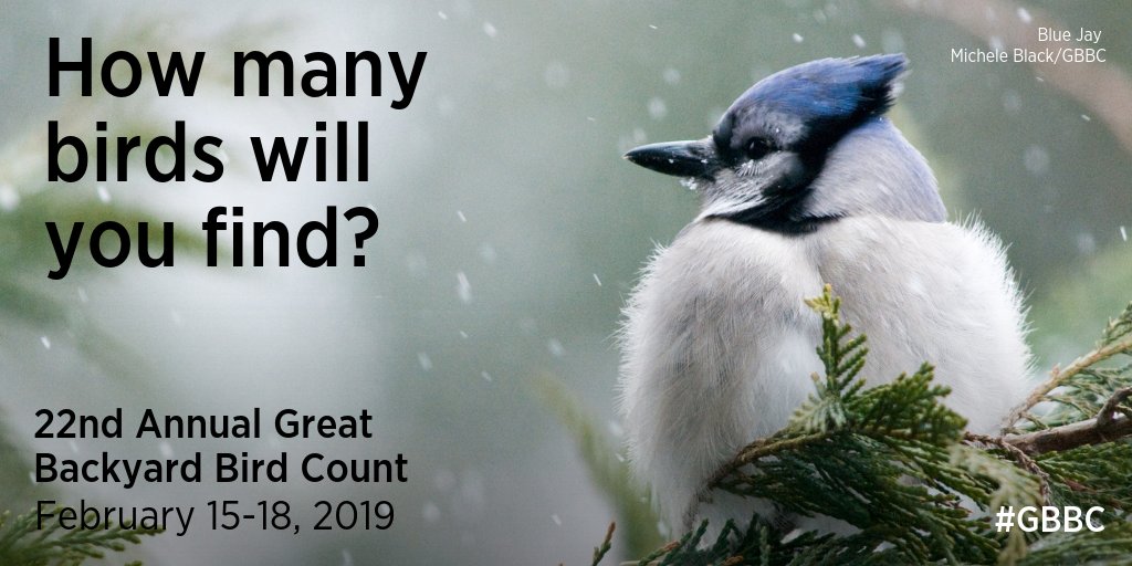 Audubon Society On Twitter Help Scientists Study Birds By