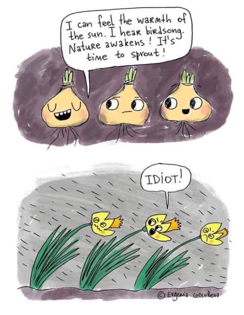 Gevelplanten's tweet photo. #humor #tuin #stebra https://t.co/cvAoo89VGa