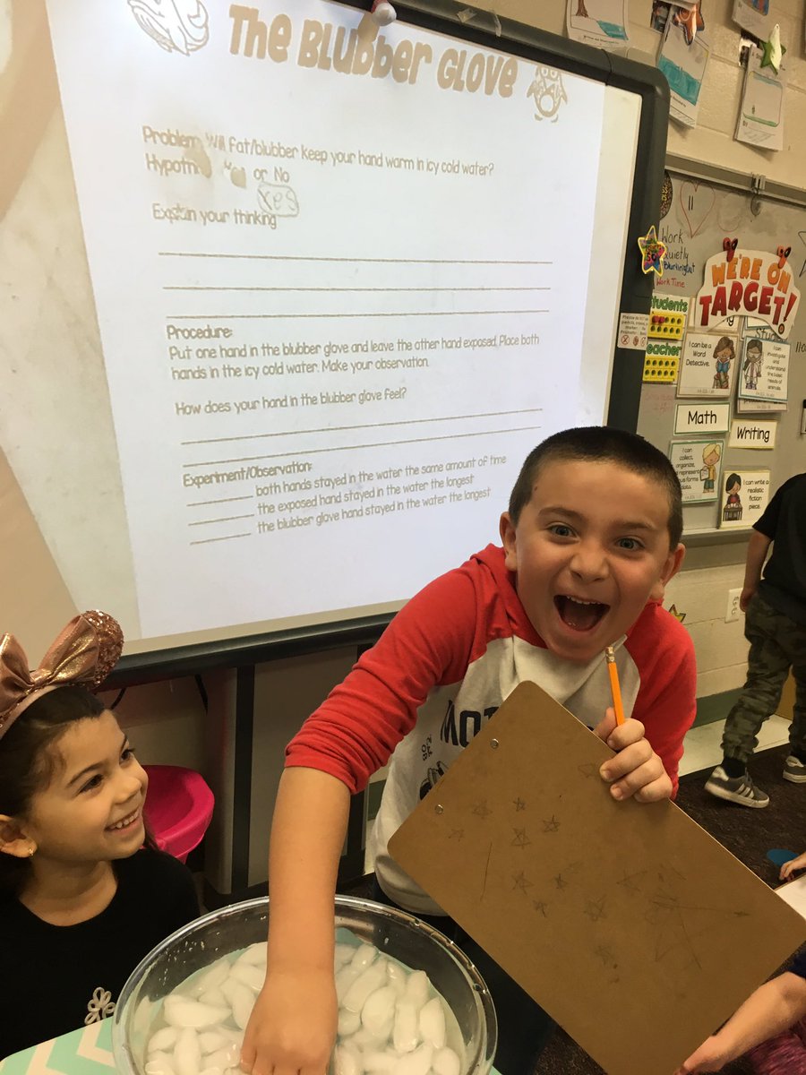 Linda Textoris (@textorislcps) on Twitter photo 1st graders made predictions, participated in hands on observations, and made conclusions about why animals in the Arctic have blubber during their Blubber Glove Experiment. <a href="/AshleyBarkley/">Ashley BarkleyLCPS</a> <a href="/LovettsvilleES/">Lovettsville ES</a> 1st graders made predictions, participated in hands on observations, and made conclusions about why animals in the Arctic have blubber during their Blubber Glove Experiment. <a href="/AshleyBarkley/">Ashley BarkleyLCPS</a> <a href="/LovettsvilleES/">Lovettsville ES</a>