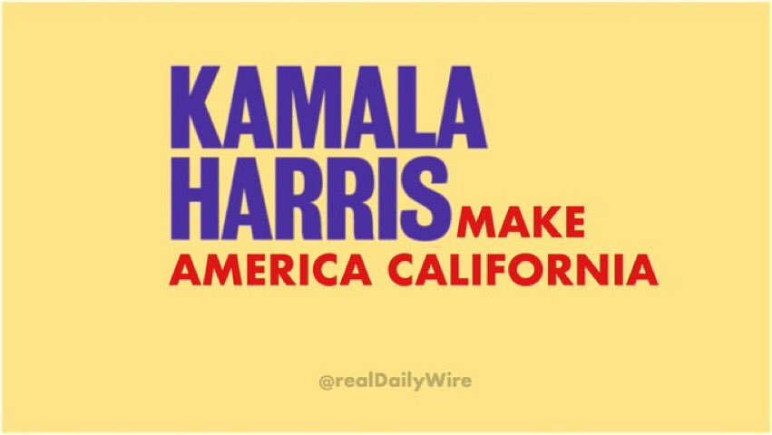 #HorizontalHarris, the “knee pad princess,” wants America to end up with voter fraud, illegal immigration, rampant homelessness, needle strewn streets, gridlocked traffic, and astronomical taxes.