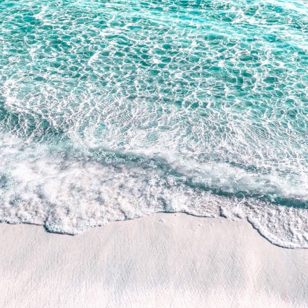 Surround yourself with tacos, not negativity. ✌️🌮 📷: <a href="/steph_matlock/">Stephanie Matlock</a>