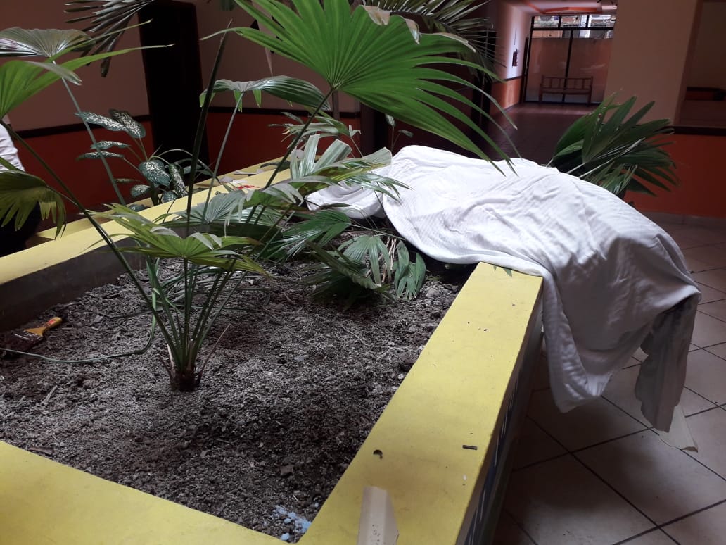 litoralhd's tweet photo. #ÚLTIMAHORA 
#LAinforma24
PERSONA PIERDE LA VIDA AL CAER DE UN TERCER PISO EN HOTEL DE LA CEIBA. https://t.co/yPTVqANnzy